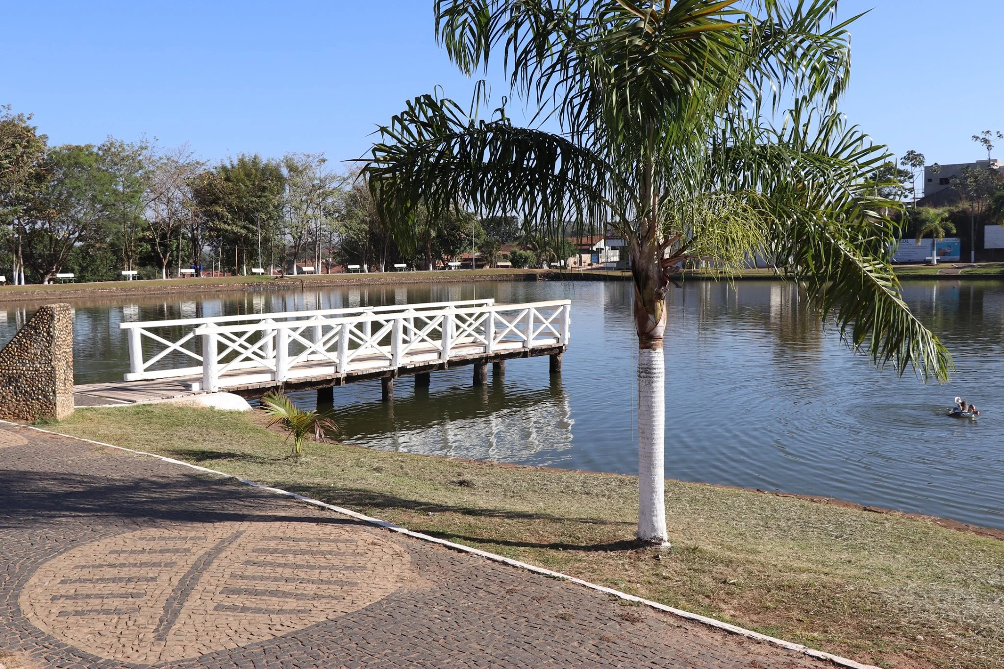 Foto do album Araputanga